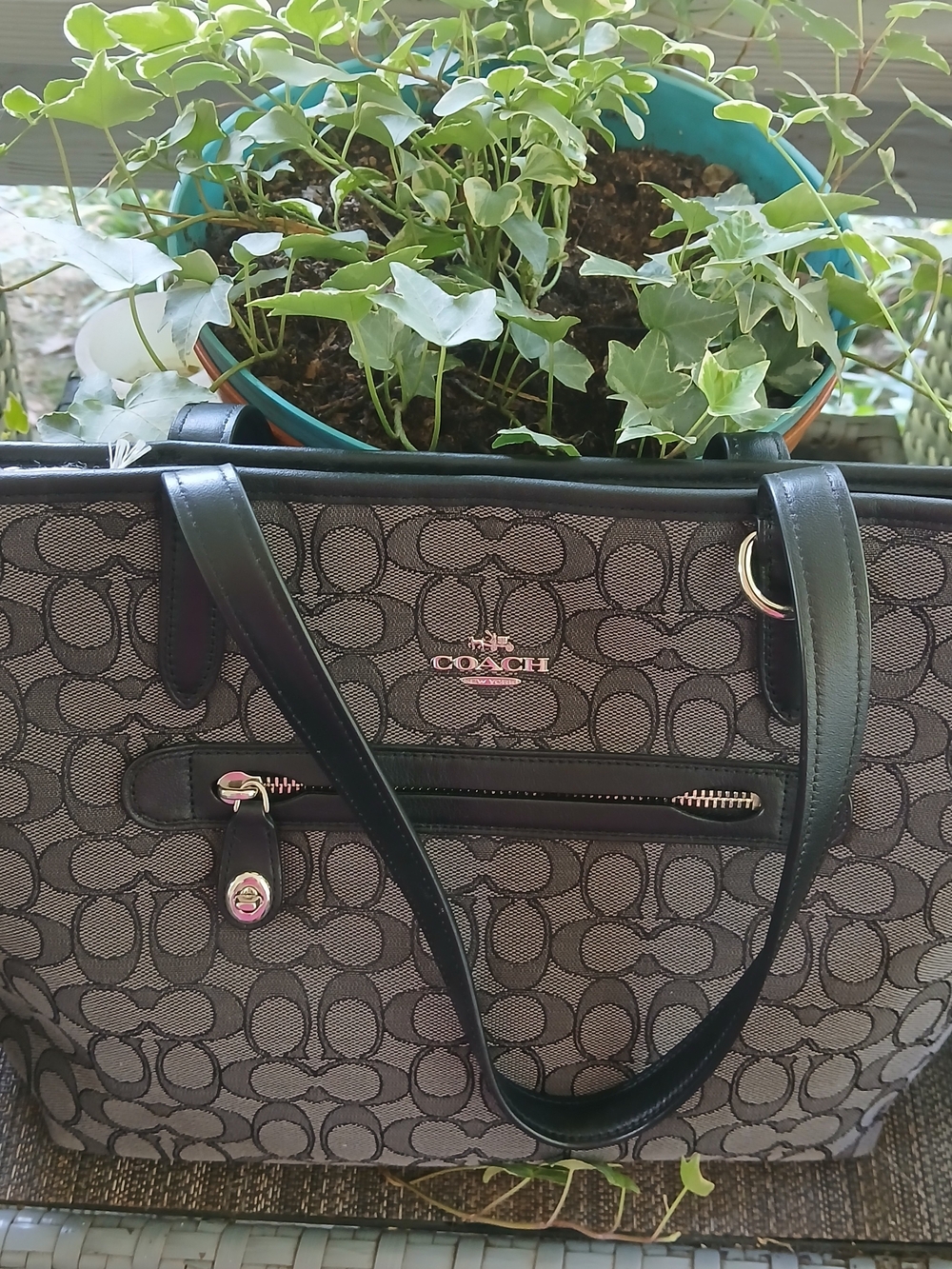 NWOT COACH Taylor Signature Canvas Shoulder Bag in Charcoal/Black W/ Silver HW